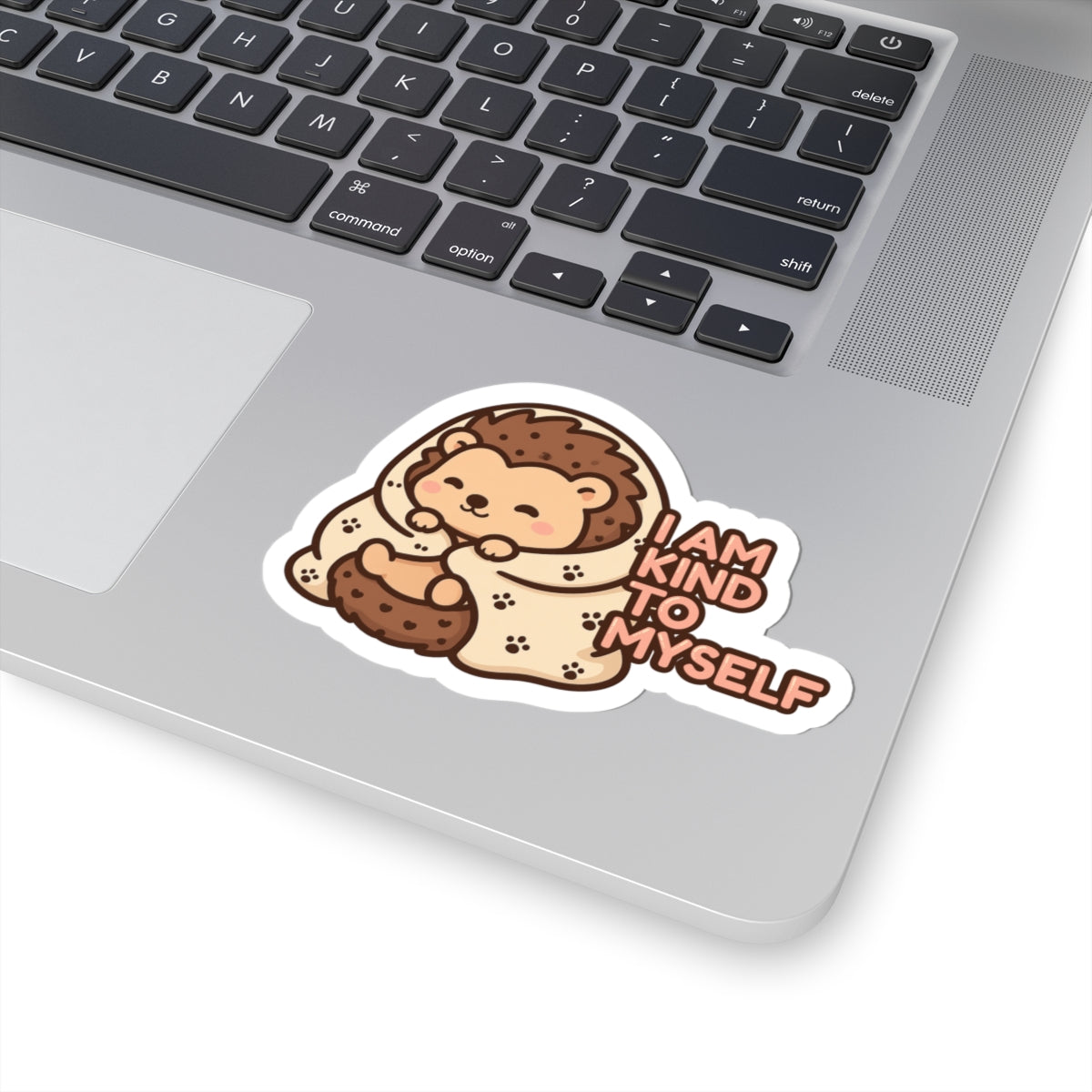 I Am Kind To Myself | Cute Hedgehog