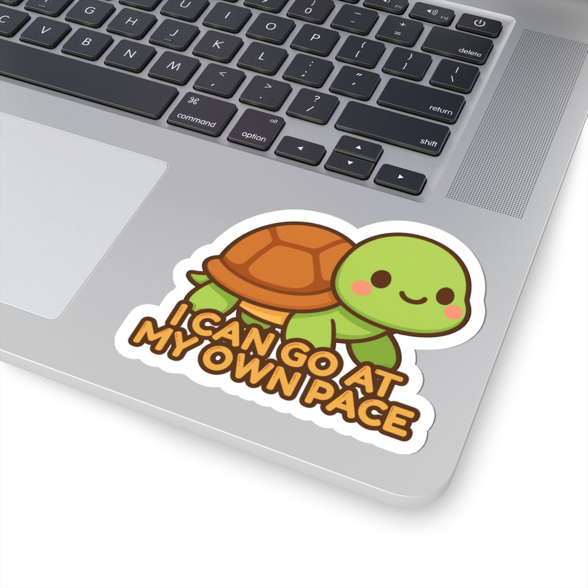 I Can Go At My Own Pace | Cute Turtle