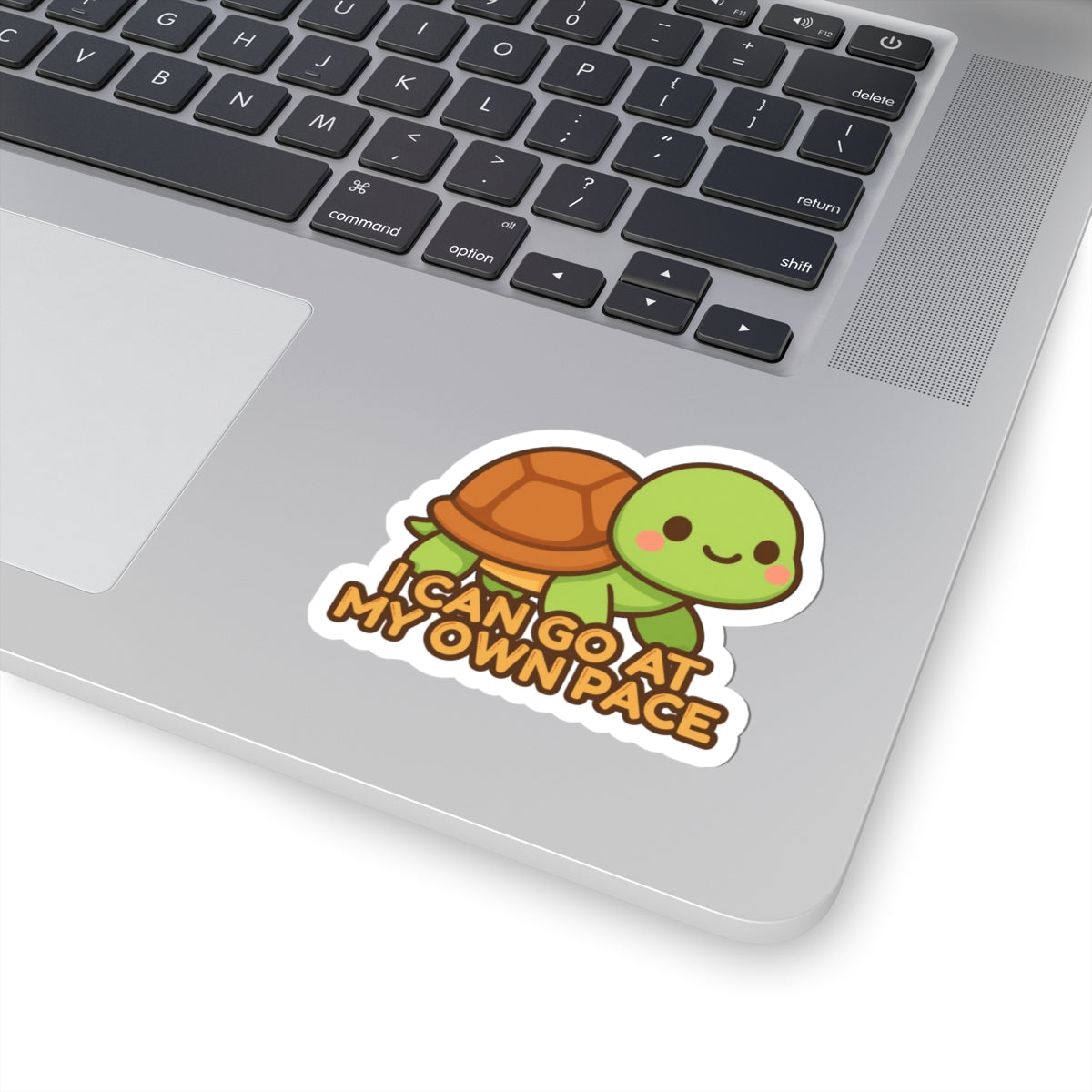I Can Go At My Own Pace | Cute Turtle