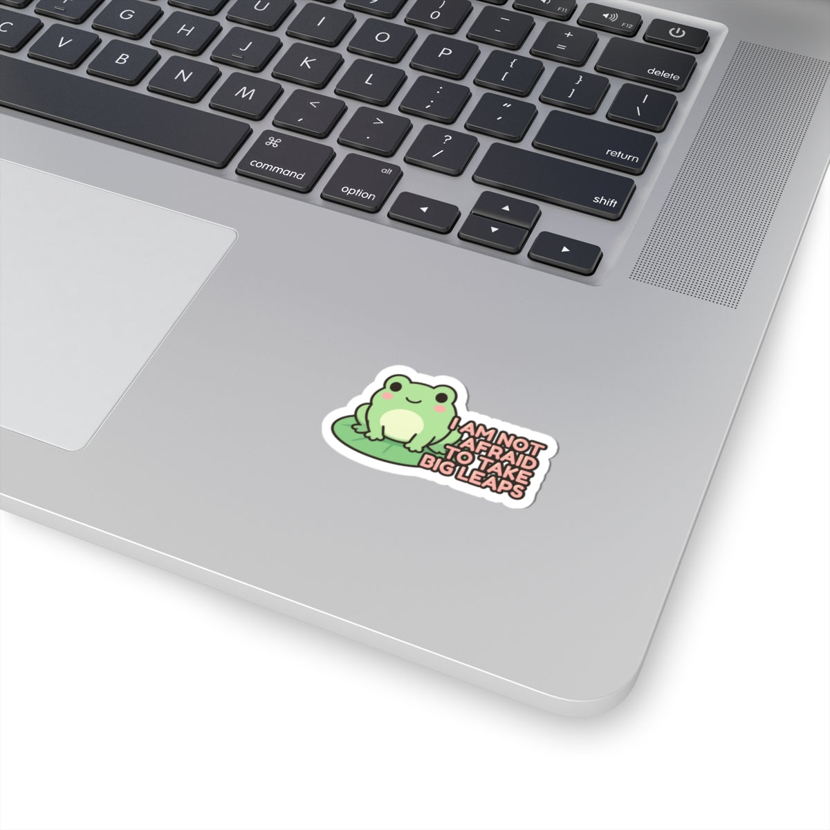 I Am Not Afraid to Take Big Leaps | Cute Frog