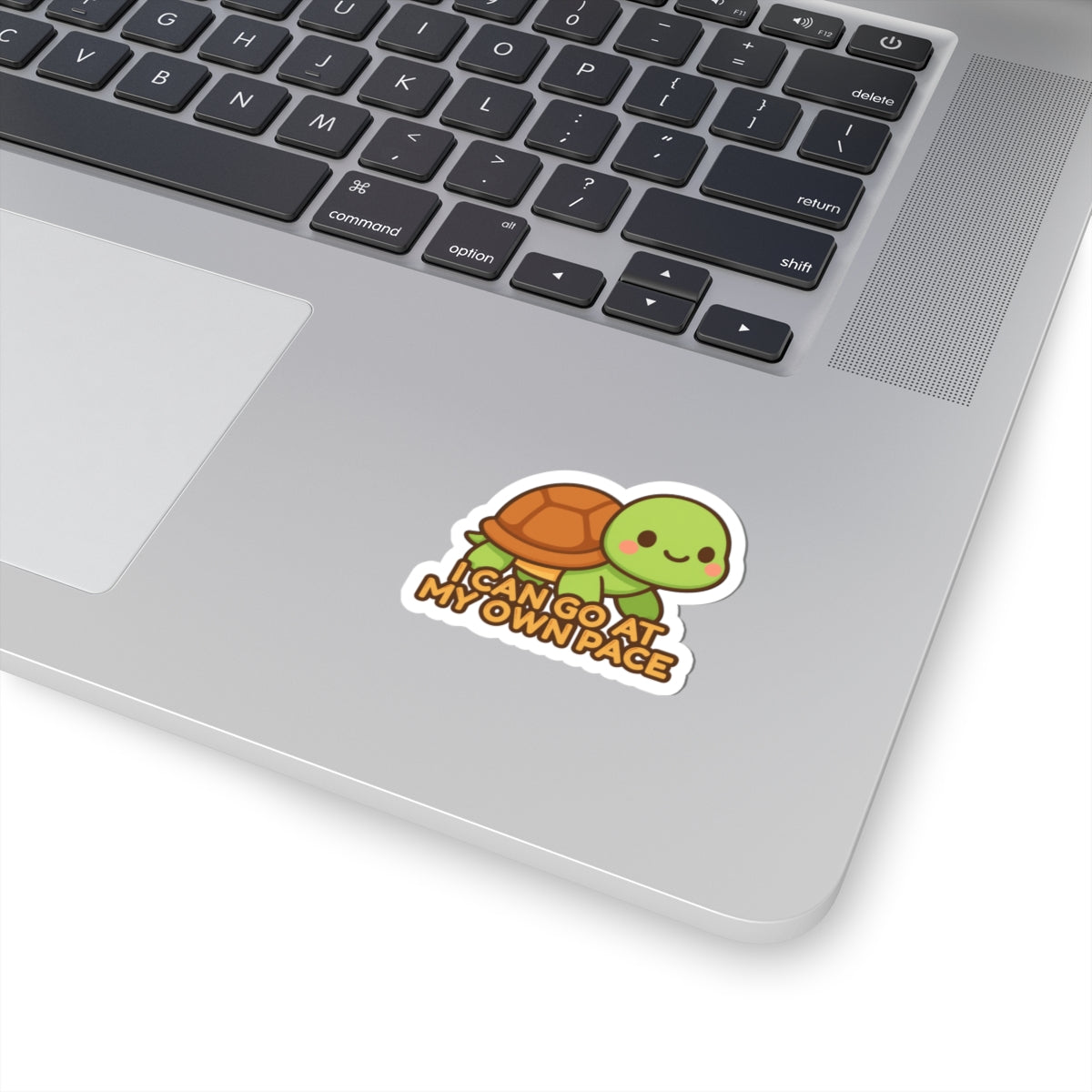 I Can Go At My Own Pace | Cute Turtle