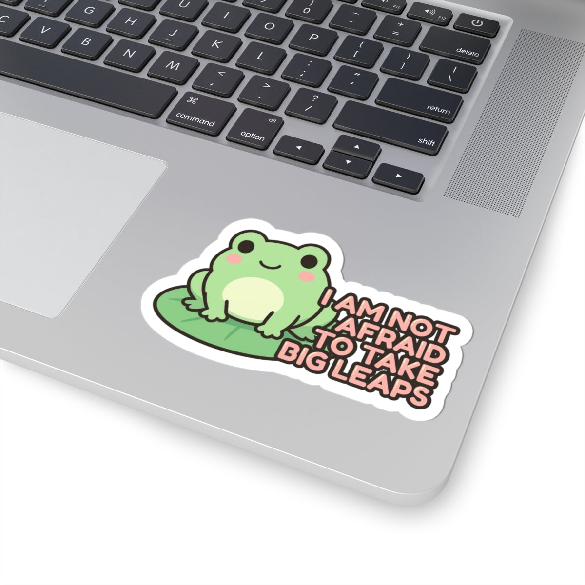 I Am Not Afraid to Take Big Leaps | Cute Frog