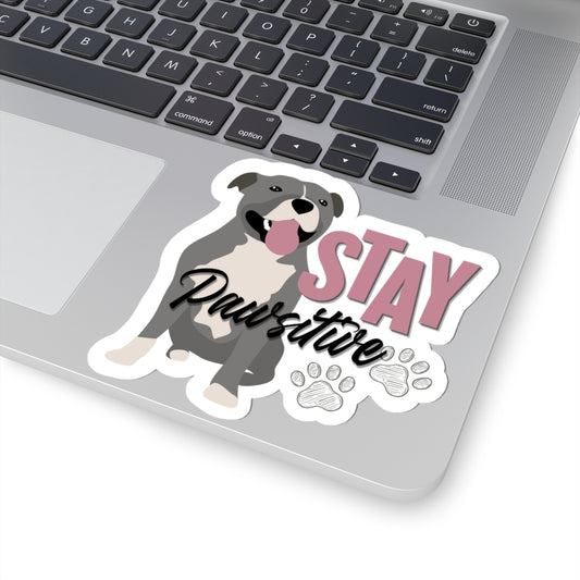 Stay Pawsitive