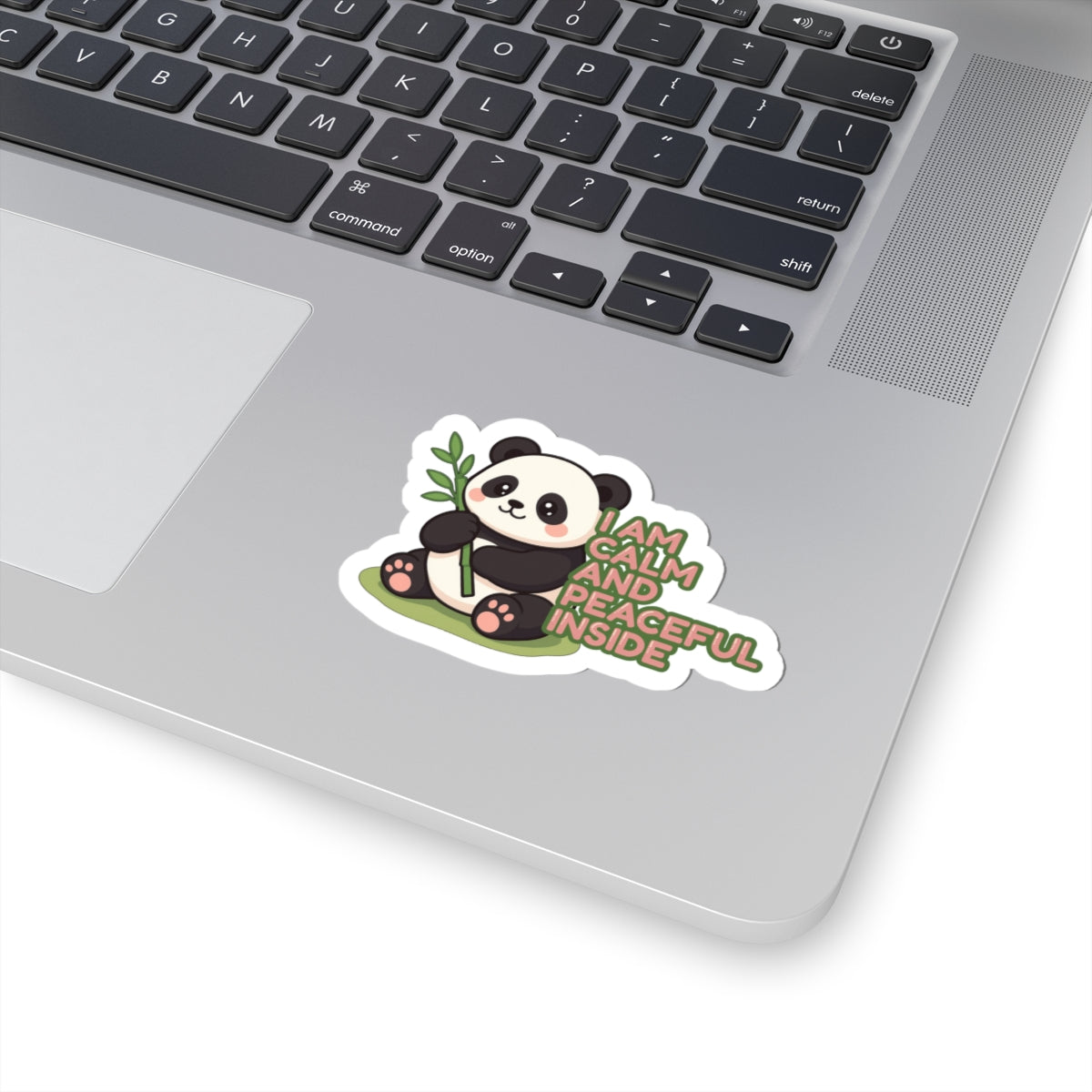 I Am Calm And Peaceful Inside | Cute Panda