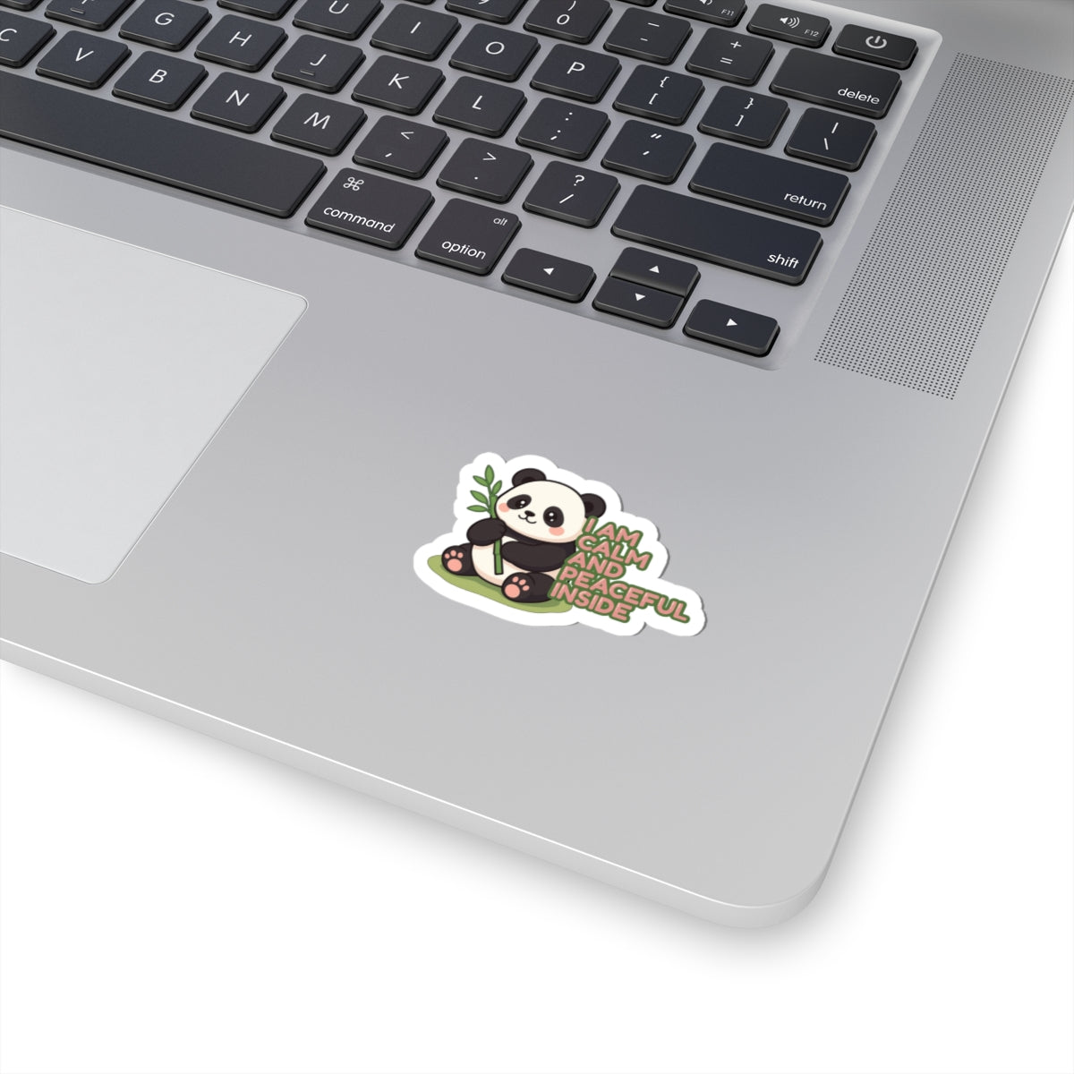 I Am Calm And Peaceful Inside | Cute Panda